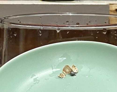 Susan LeGuyader's An Adventure in Water Casting - , General Education, Butane Torch, Soldering, Solder, water casting